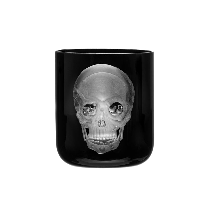 Cabinet of Curiosities Skull