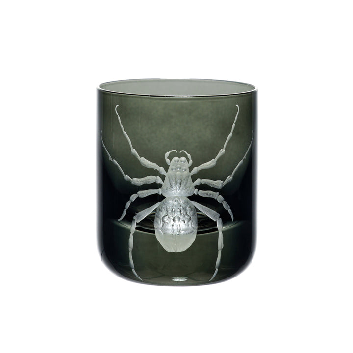 Cabinet of Curiosities Spider