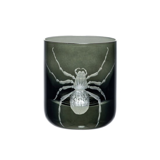 Cabinet of Curiosities Spider