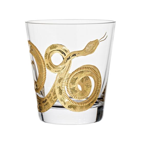 Cabinet of Curiosities Snake