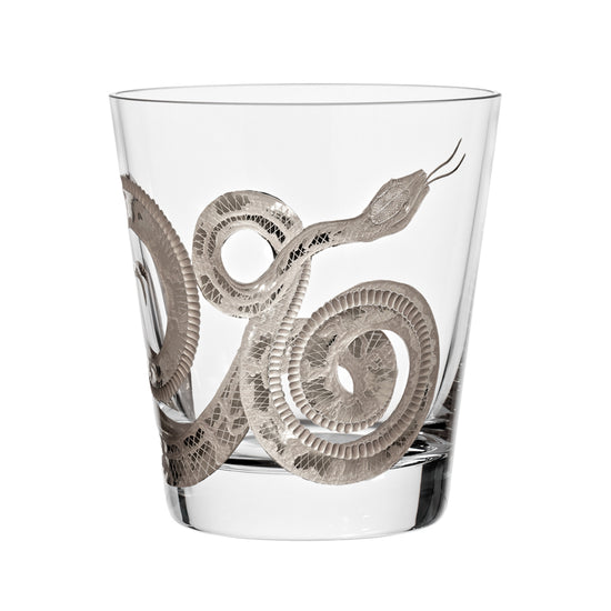 Cabinet of Curiosities Snake