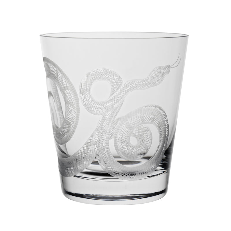 Cabinet of Curiosities Snake