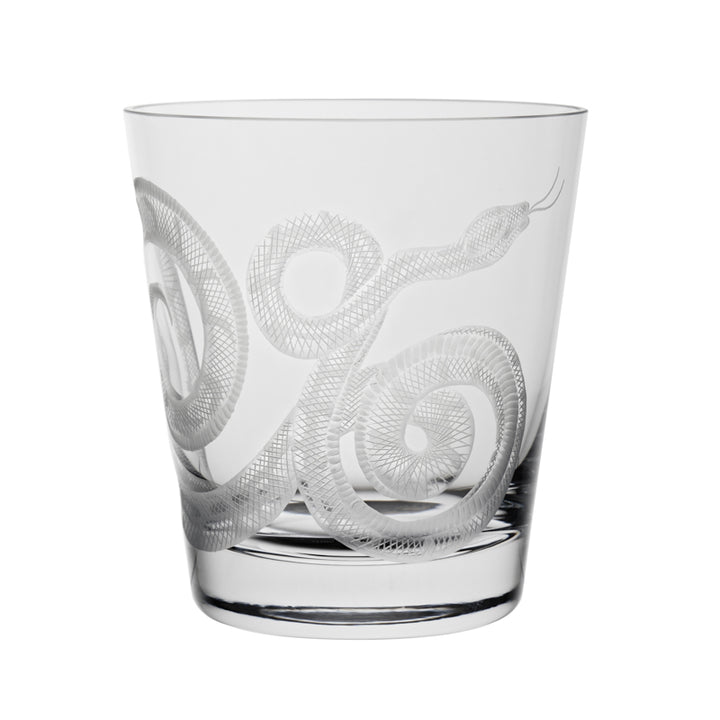 Cabinet of Curiosities Snake