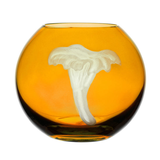 Mushrooms Chanterelle