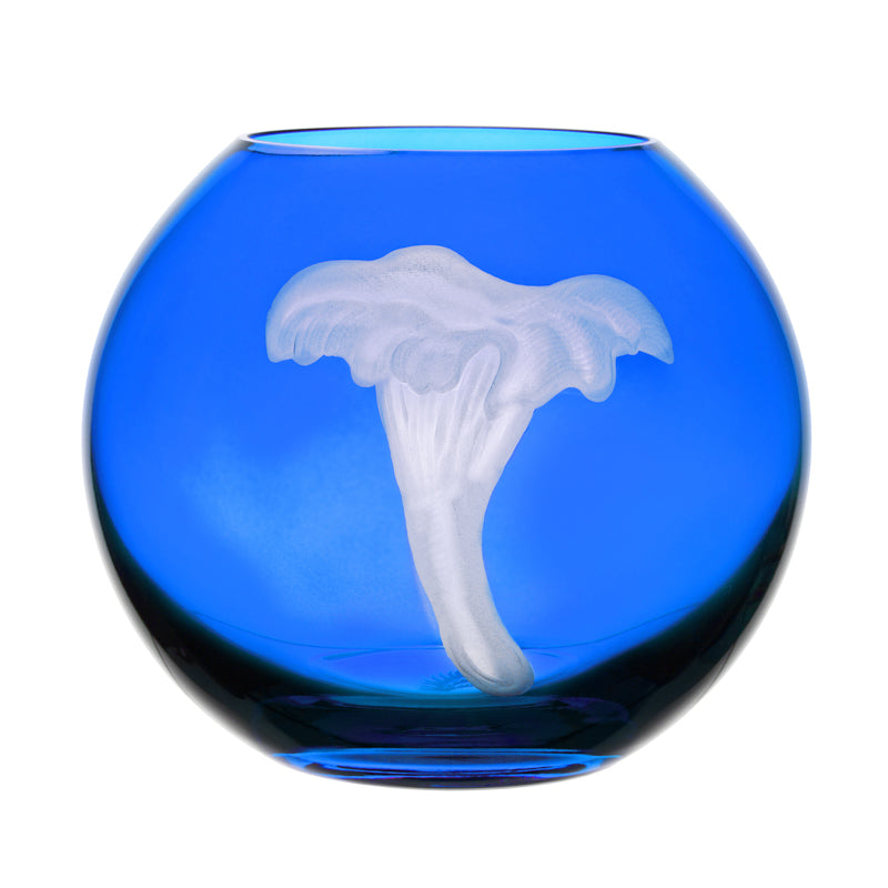 Mushrooms Chanterelle