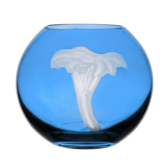 Mushrooms Chanterelle