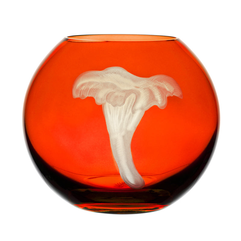 Mushrooms Chanterelle