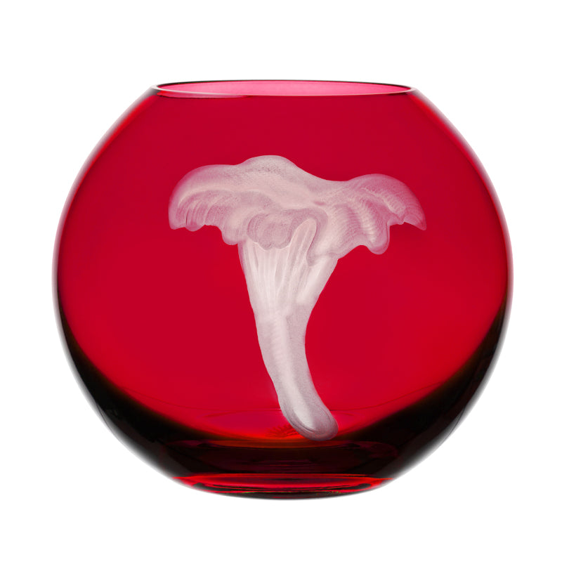 Mushrooms Chanterelle