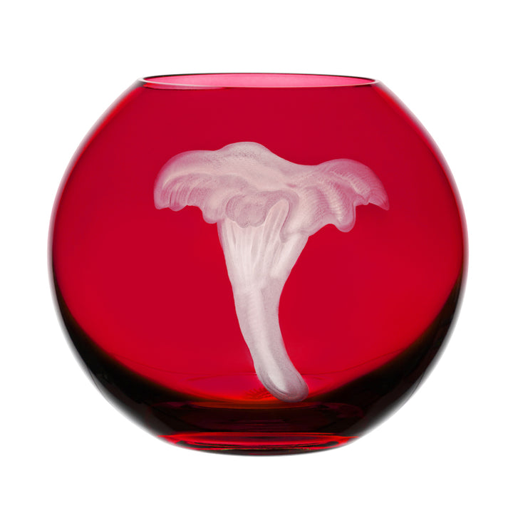 Mushrooms Chanterelle