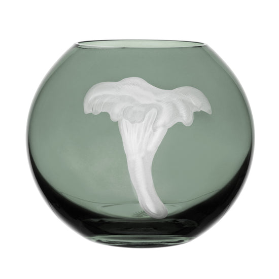 Mushrooms Chanterelle