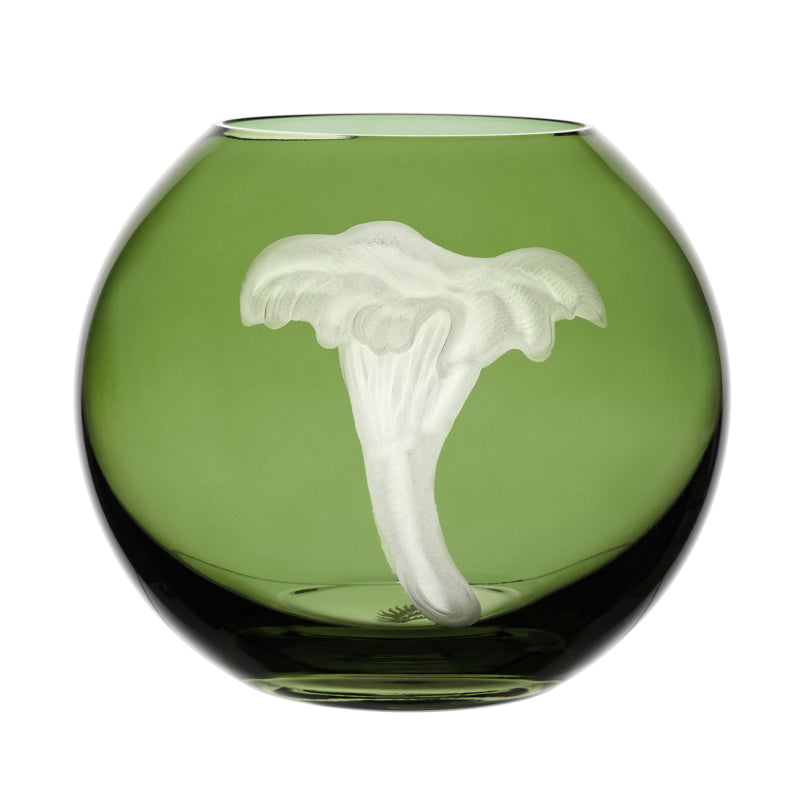 Mushrooms Chanterelle