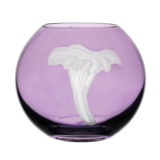 Mushrooms Chanterelle