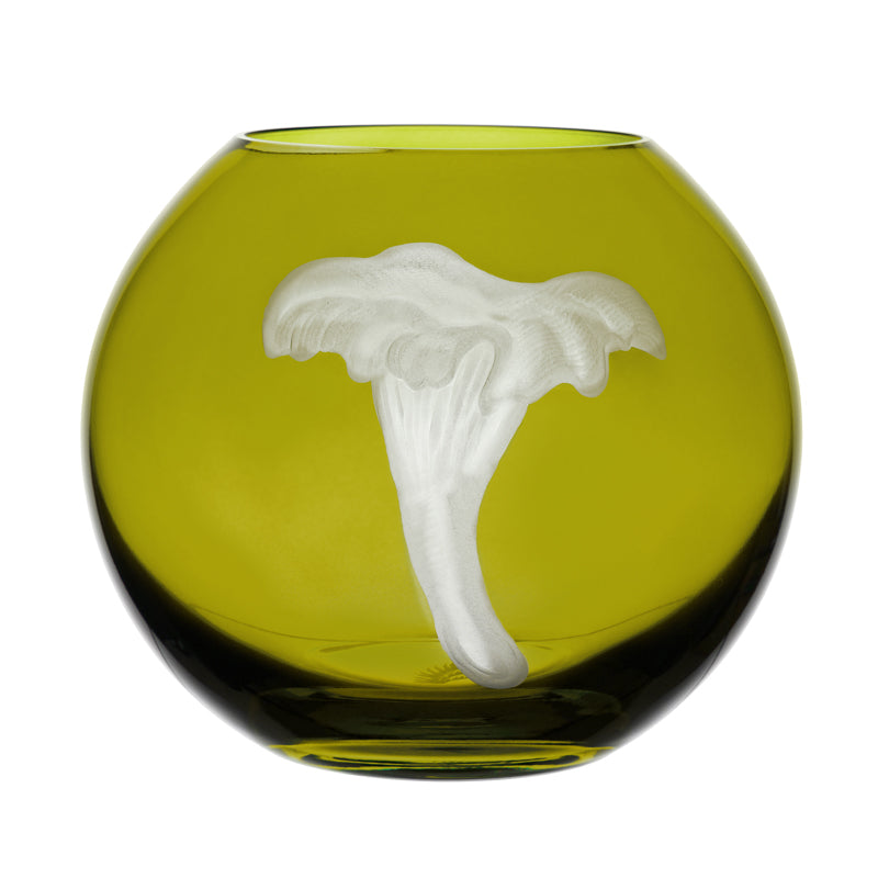 Mushrooms Chanterelle