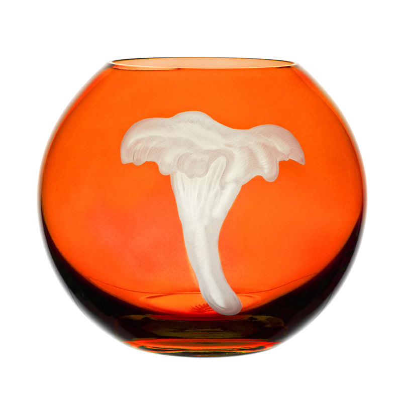 Mushrooms Chanterelle