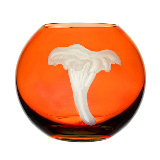 Mushrooms Chanterelle