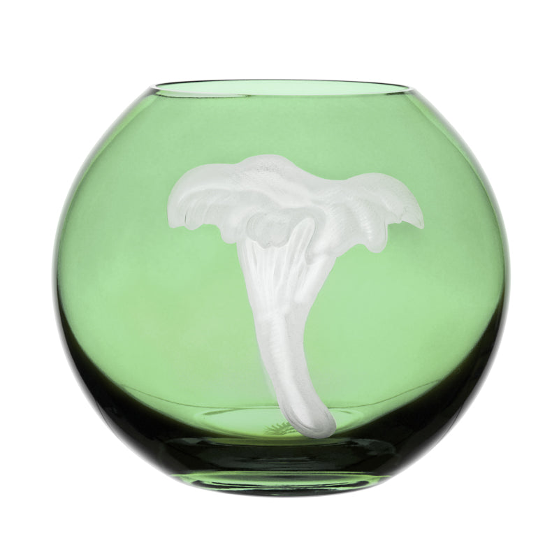 Mushrooms Chanterelle