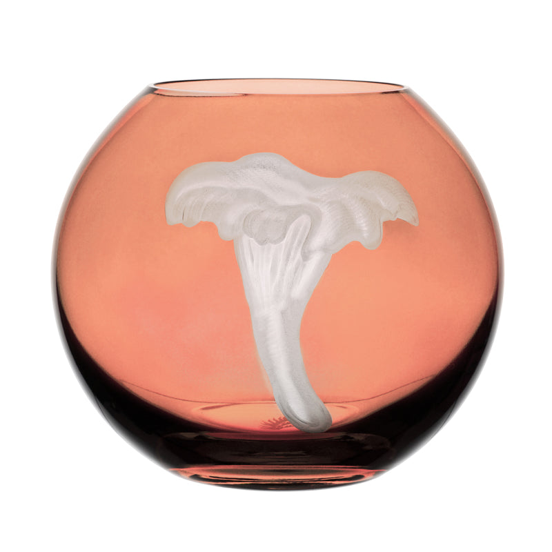 Mushrooms Chanterelle