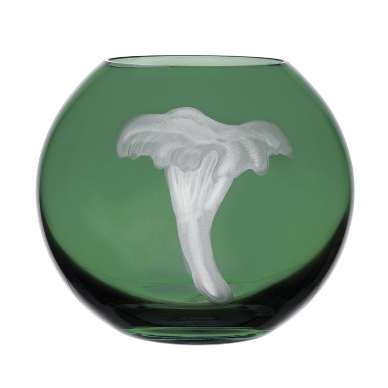 Mushrooms Chanterelle