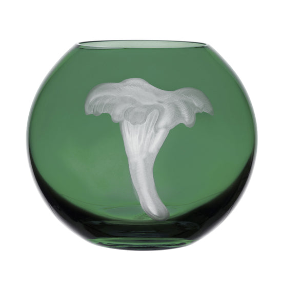 Mushrooms Chanterelle