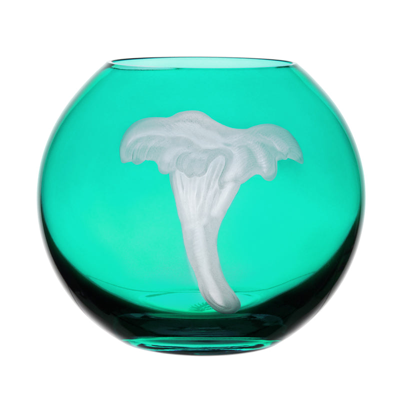 Mushrooms Chanterelle