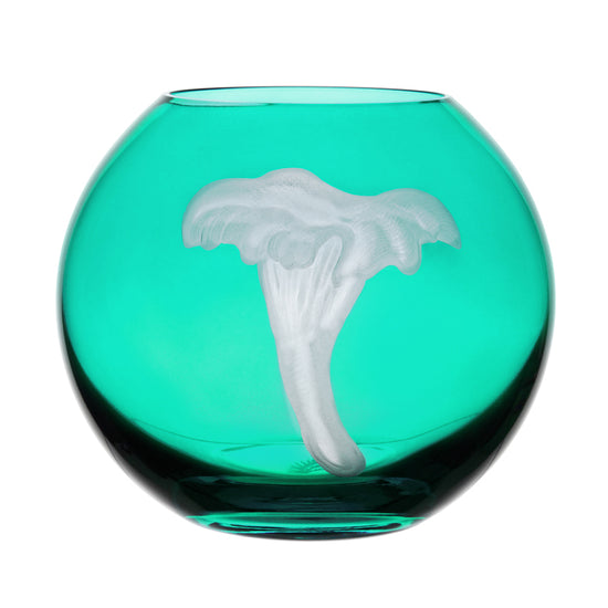 Mushrooms Chanterelle