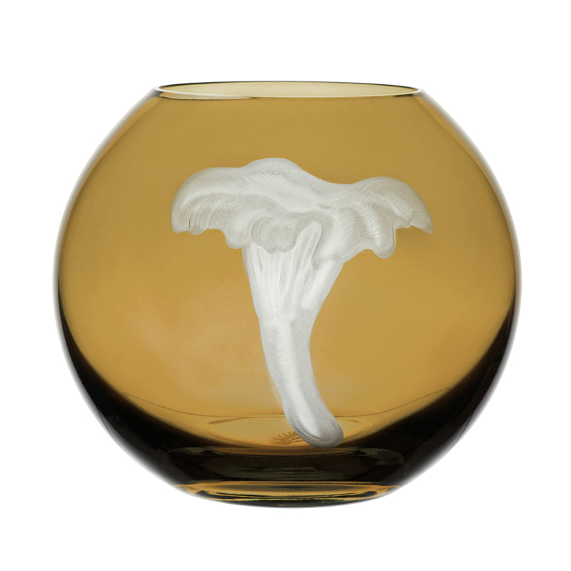 Mushrooms Chanterelle