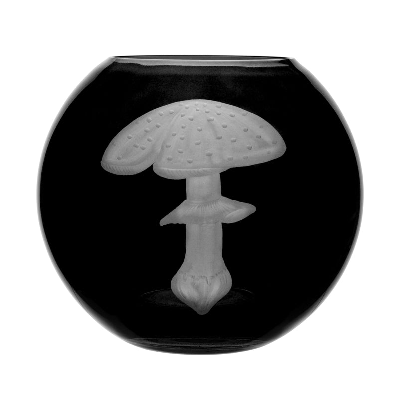 Mushrooms Fly Amanita