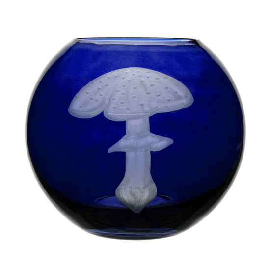 Mushrooms Fly Amanita