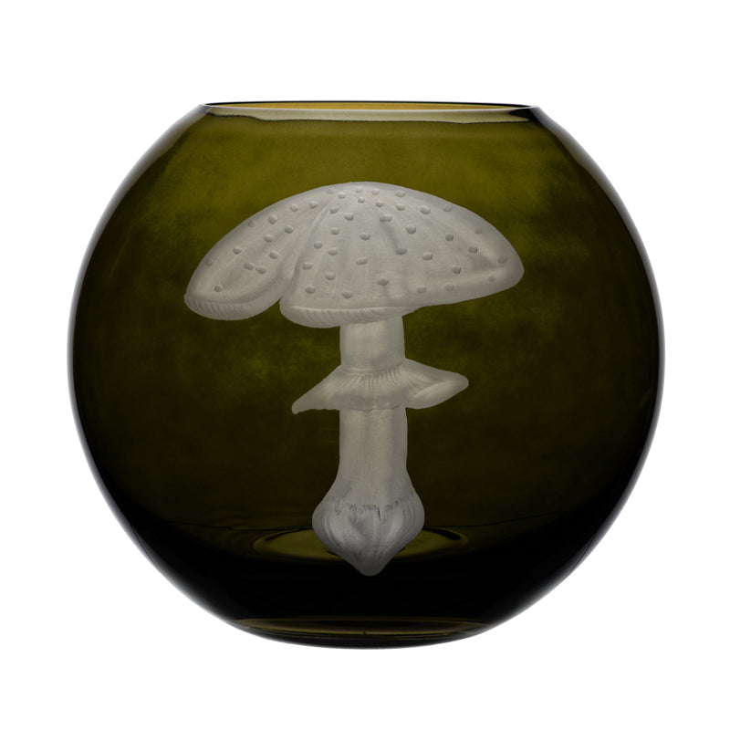 Mushrooms Fly Amanita