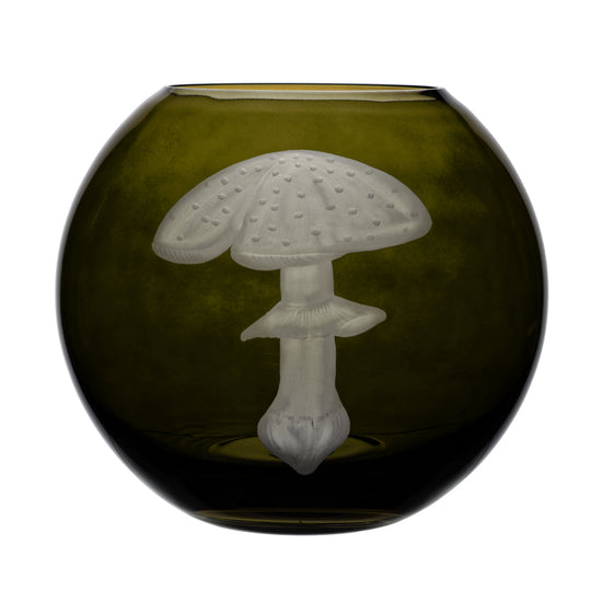 Mushrooms Fly Amanita