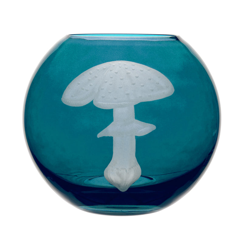 Mushrooms Fly Amanita