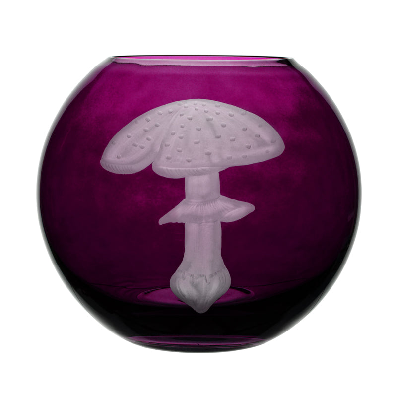 Mushrooms Fly Amanita