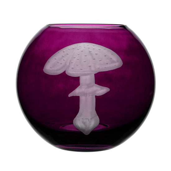 Mushrooms Fly Amanita