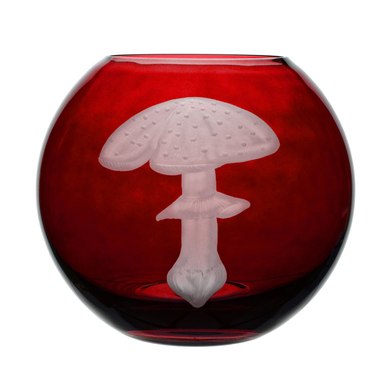 Mushrooms Fly Amanita