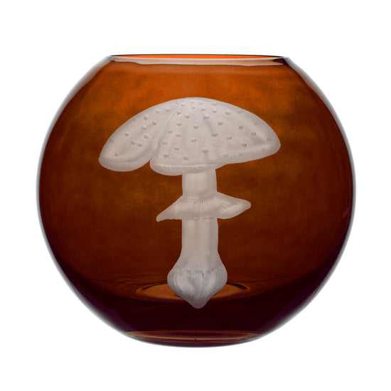 Mushrooms Fly Amanita