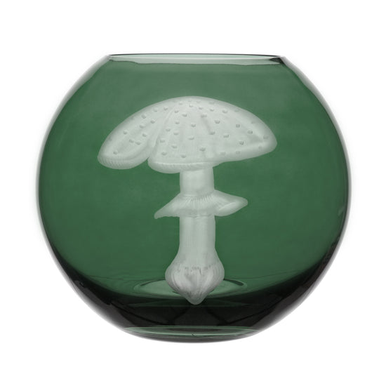 Mushrooms Fly Amanita