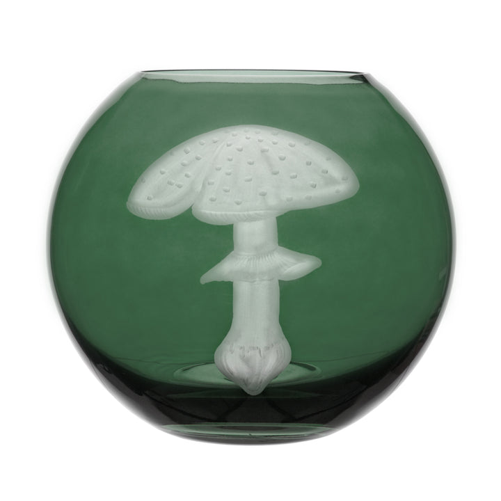 Mushrooms Fly Amanita