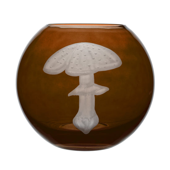 Mushrooms Fly Amanita