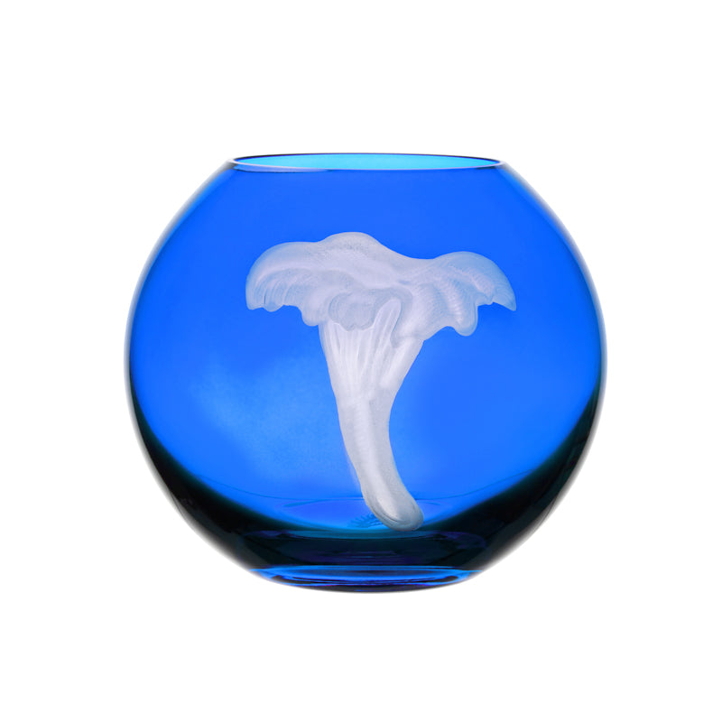 Mushrooms Chanterelle