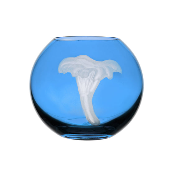 Mushrooms Chanterelle