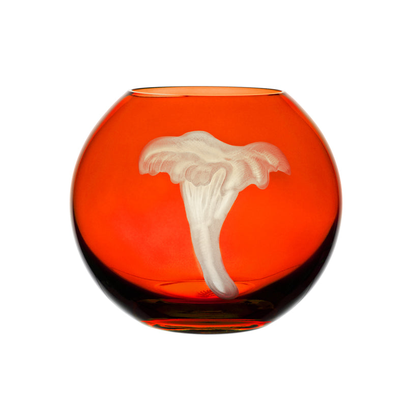 Mushrooms Chanterelle