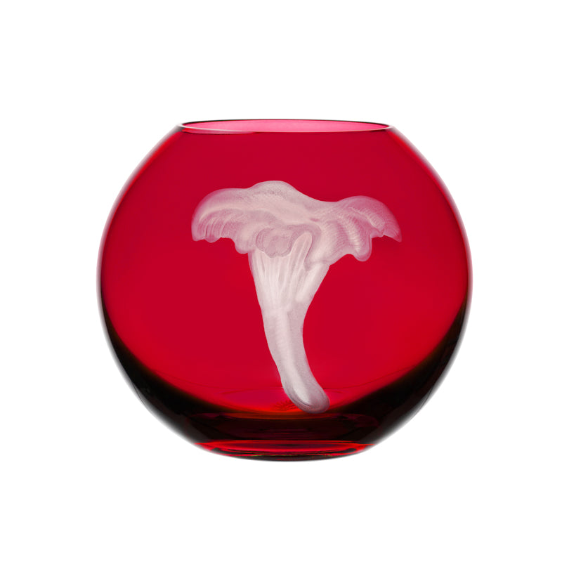 Mushrooms Chanterelle