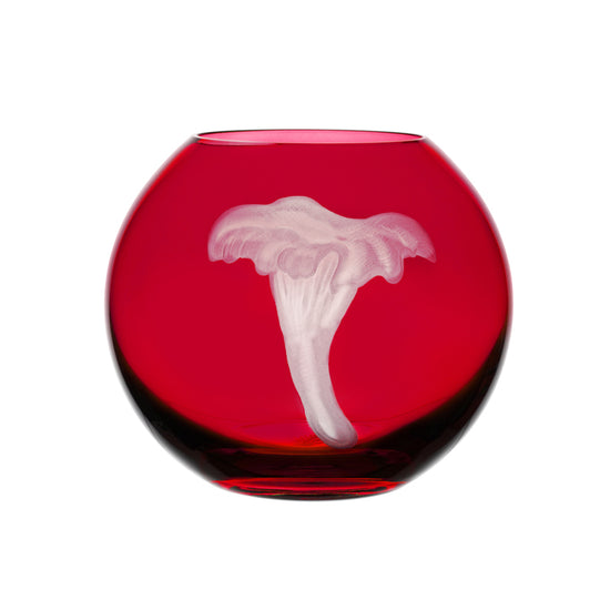 Mushrooms Chanterelle