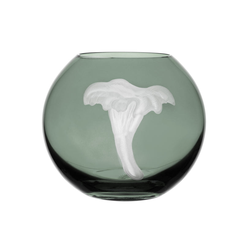 Mushrooms Chanterelle