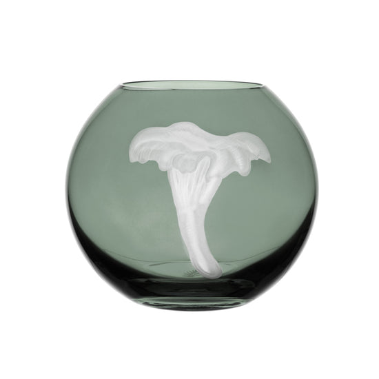 Mushrooms Chanterelle