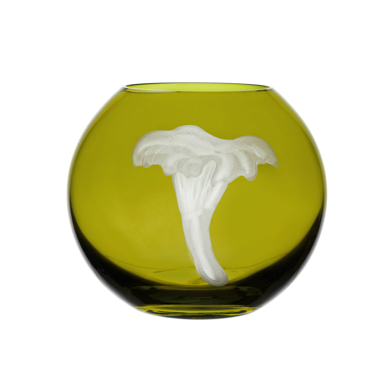 Mushrooms Chanterelle