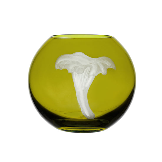 Mushrooms Chanterelle