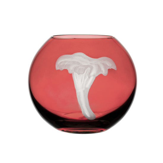 Mushrooms Chanterelle