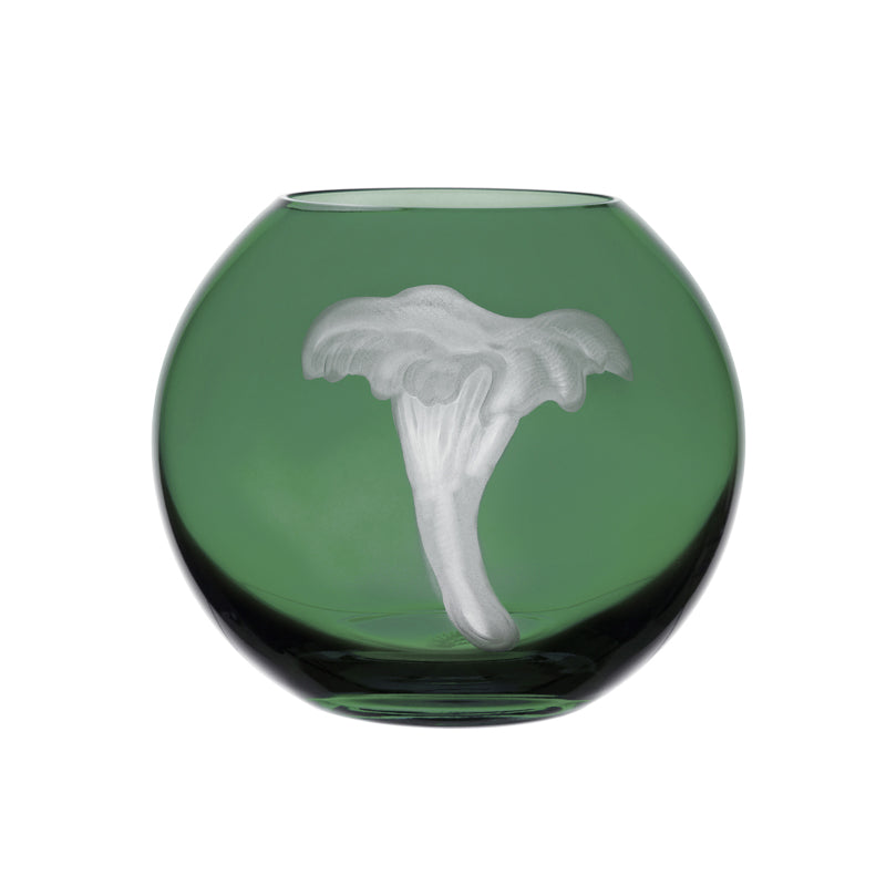 Mushrooms Chanterelle