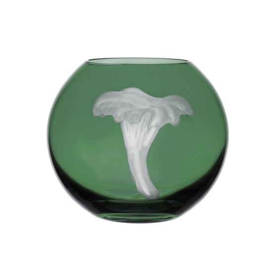 Mushrooms Chanterelle